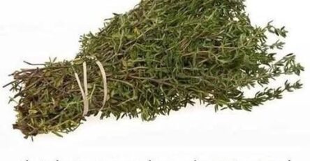 698639890 966602983015801 4871452328061444249 n