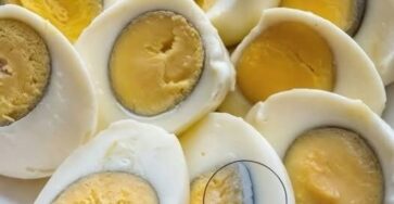 678532206 1511251670556863 2515967676950489223 n