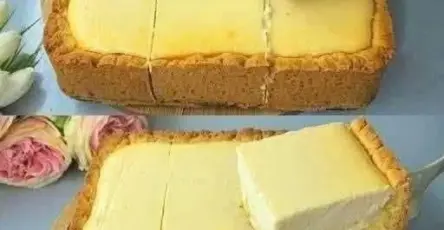 679734387 2454078238367526 3783295141464228250 n