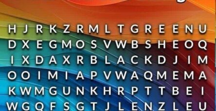 710781939 1031297236508353 9069433934739020205 n