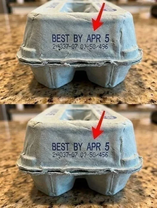 711329019 2569255046844597 432051239807300567 n (1)