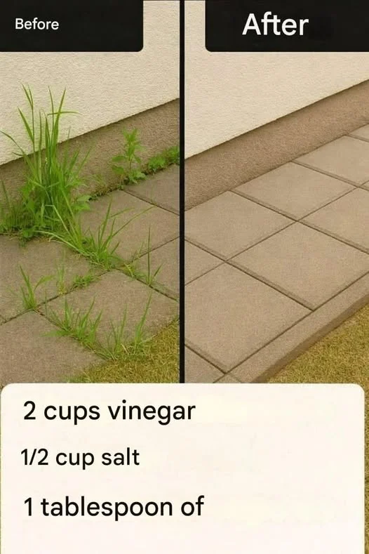 712314413 2048812889394315 4449699943684826370 n
