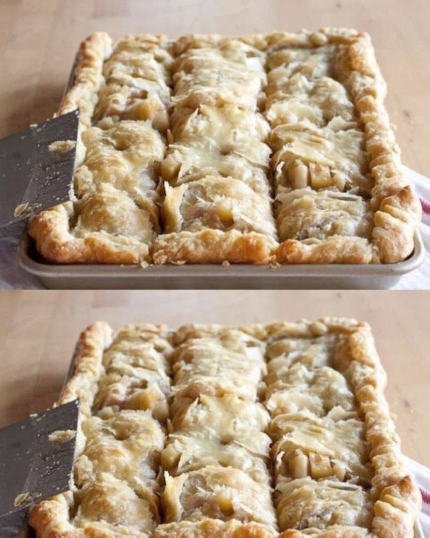 726900402 998904219518150 4470310290830911869 n