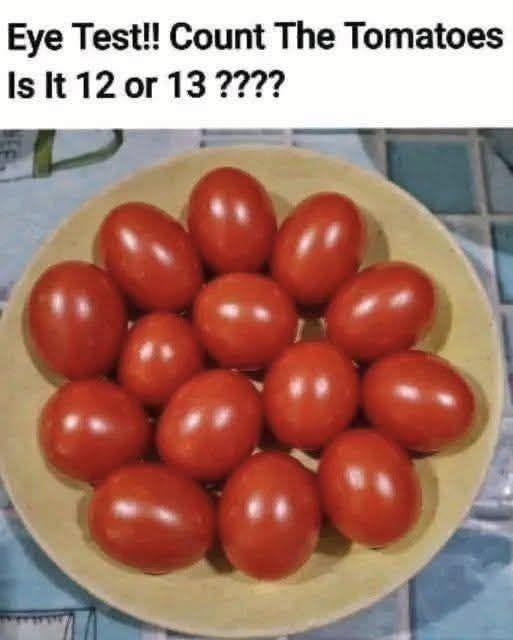 730381827 122301572438240626 7102139626360456143 n