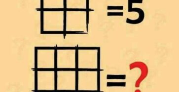 735272494 122222942960343016 7960753557087773874 n
