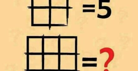 735272494 122222942960343016 7960753557087773874 n