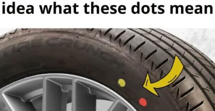 738188553 1549389300054860 929120604614048873 n