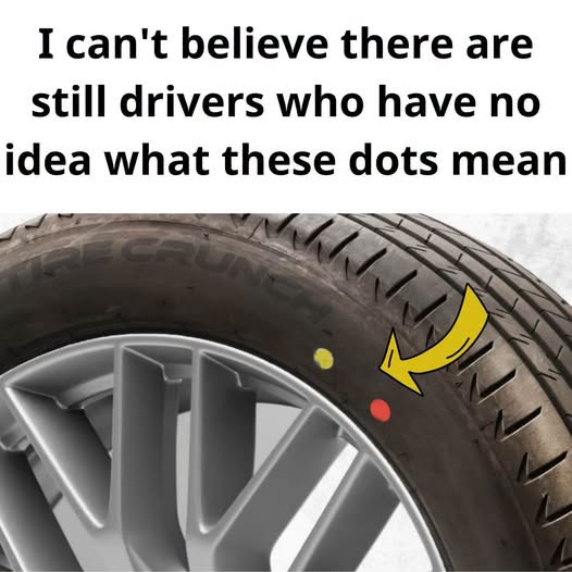 738188553 1549389300054860 929120604614048873 n